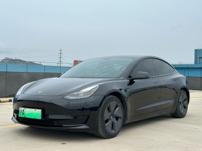 2021年2月 特斯拉 Model 3 標(biāo)準(zhǔn)續(xù)航后驅(qū)升級(jí)版圖片