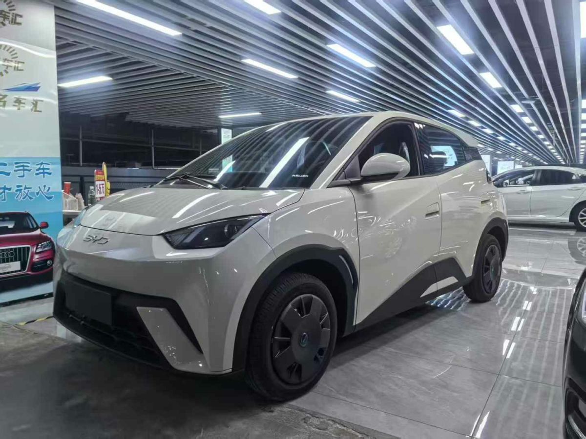 比亞迪 漢  2024款 EV 榮耀版 610KM四驅(qū)天神之眼智駕型圖片