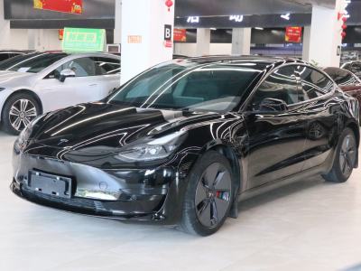 2021年5月 特斯拉 Model 3 2021款 改款 标准续航后驱升级版 3D1图片