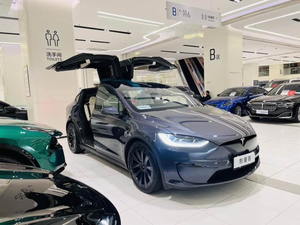 特斯拉 Model X  2023款 雙電機(jī)全輪驅(qū)動版圖片