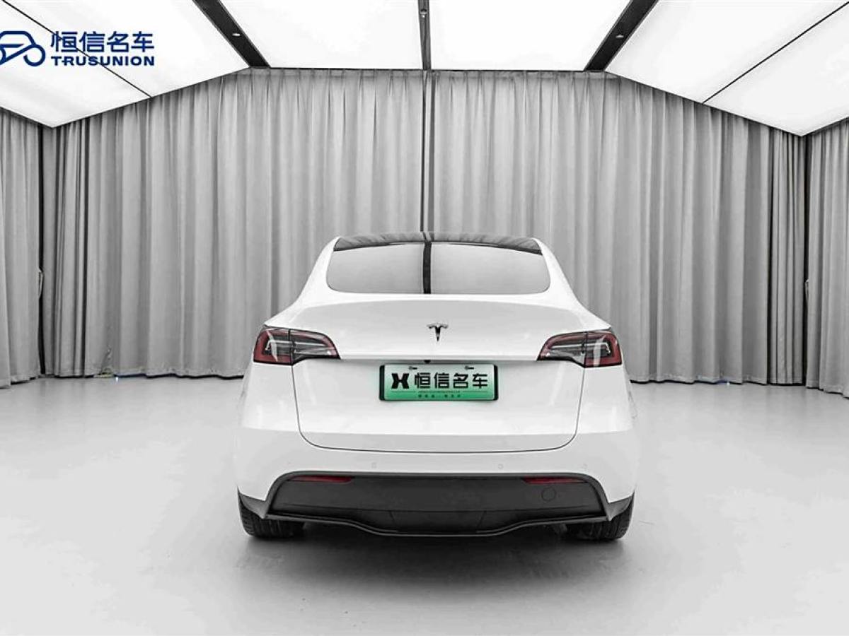 特斯拉 Model Y  2022款 改款 長續(xù)航全輪驅(qū)動(dòng)版圖片