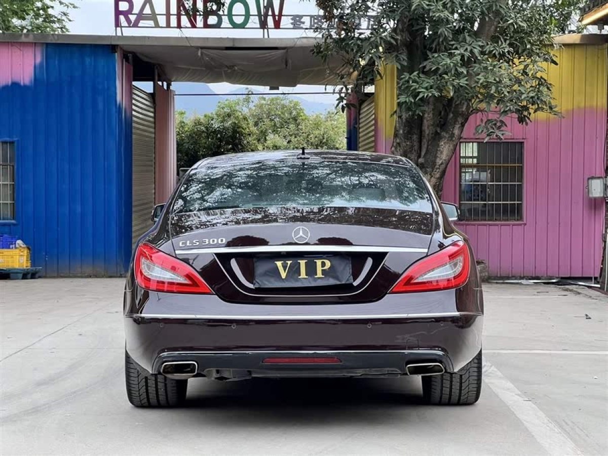 奔馳 奔馳CLS級(jí)  2012款 CLS 300 CGI圖片