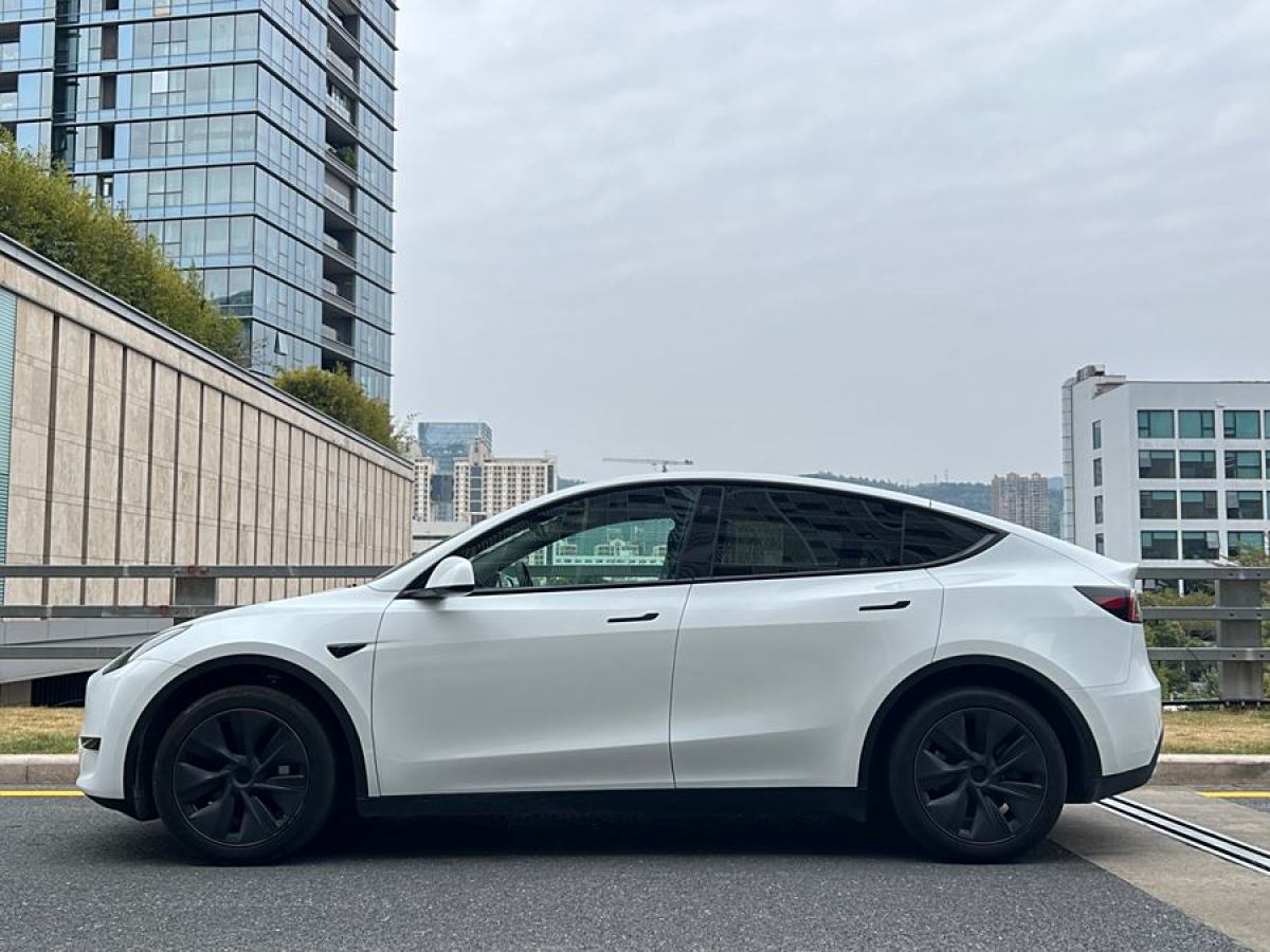 特斯拉 Model 3  2020款 改款 長續(xù)航后輪驅(qū)動版圖片