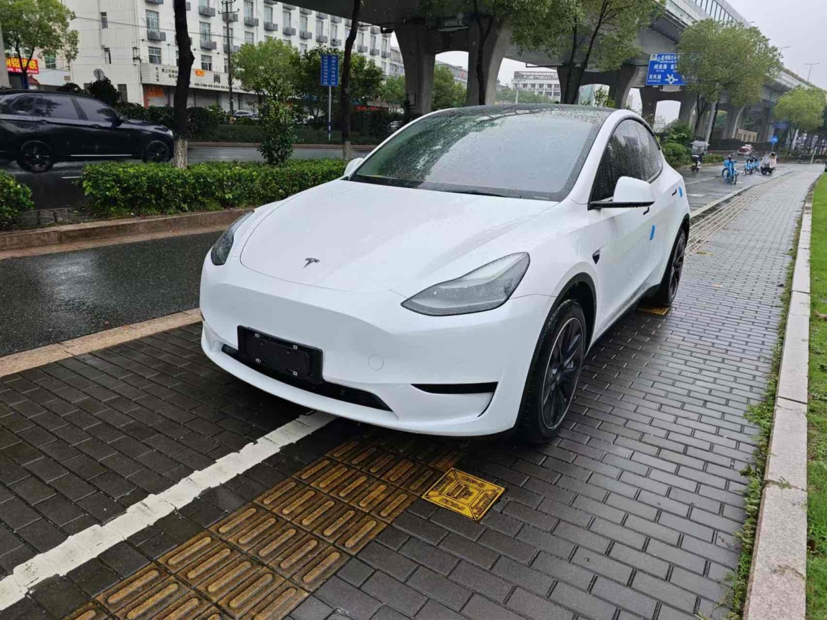 特斯拉 Model Y  2020款 改款 長(zhǎng)續(xù)航后輪驅(qū)動(dòng)版圖片