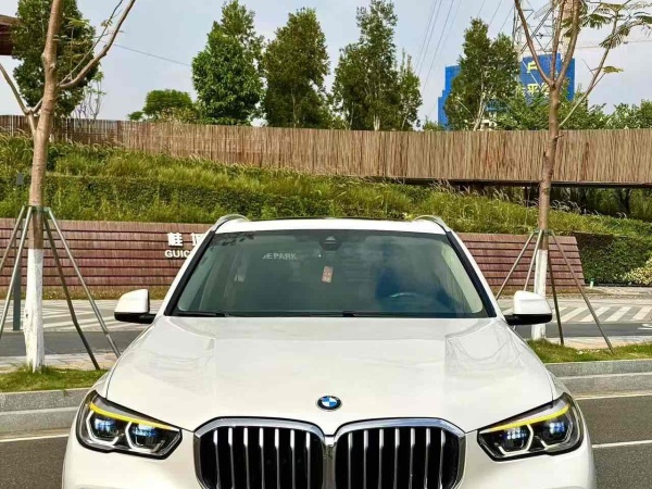 宝马 宝马X5  2019款 xDrive40i M运动套装