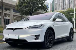 Model X 特斯拉 Model X 75D