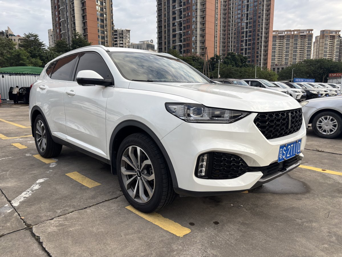 WEY VV6  2018款 2.0T 兩驅(qū)超豪型圖片