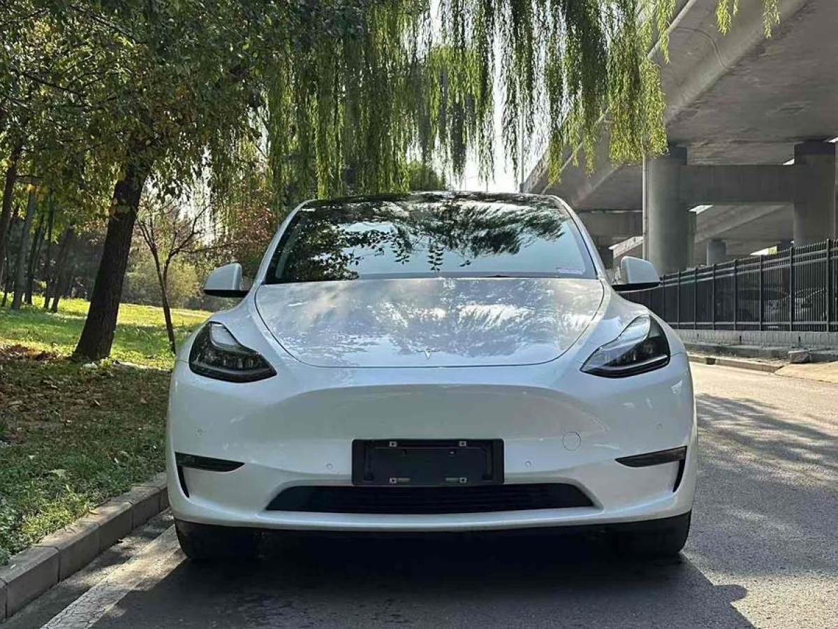 特斯拉 Model 3  2021款 改款 長續(xù)航全輪驅(qū)動版圖片