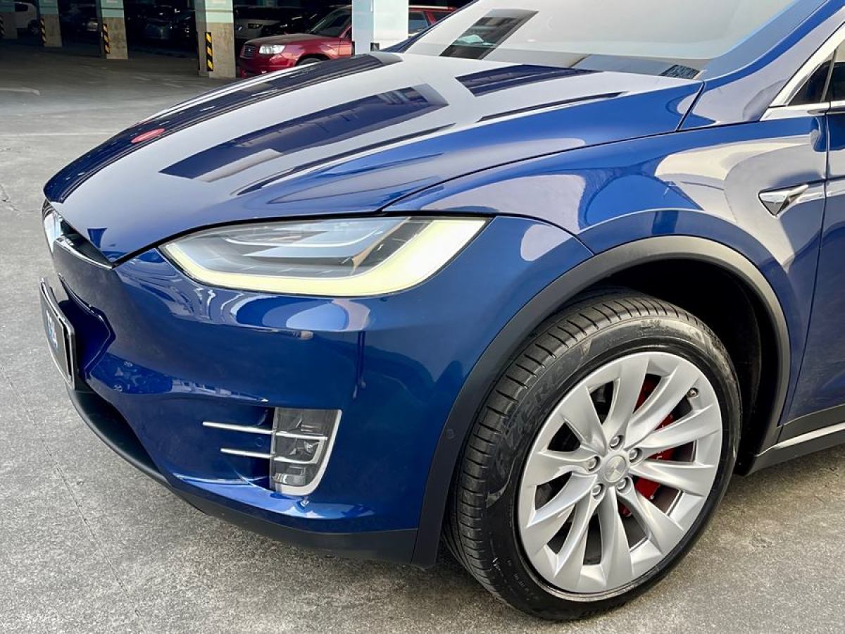 特斯拉 Model X  2020款 長(zhǎng)續(xù)航升級(jí)版圖片