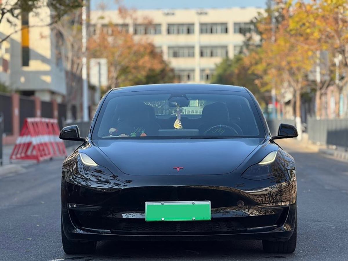 特斯拉 Model 3  2021款 改款 Performance高性能全輪驅(qū)動(dòng)版圖片