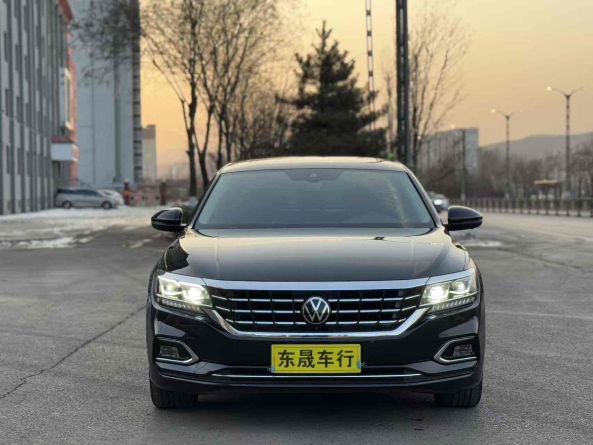 大眾 帕薩特  2021款 380TSI 豪華版圖片