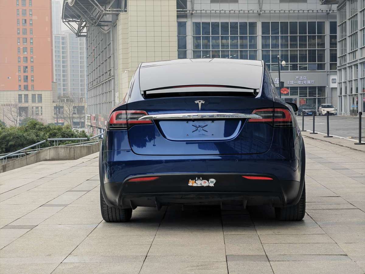 特斯拉 Model X  2019款 長(zhǎng)續(xù)航版圖片