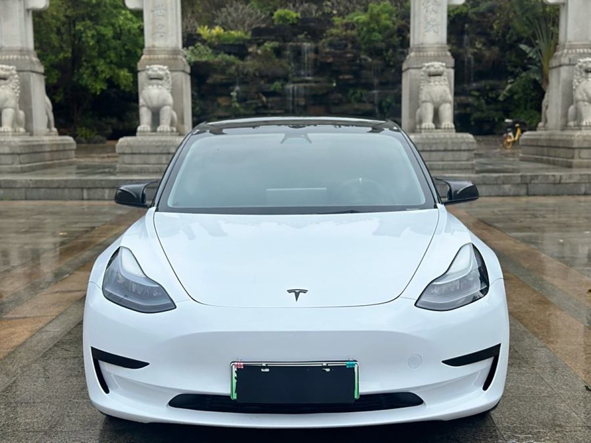 2021年6月特斯拉 Model 3  2021款 標(biāo)準(zhǔn)續(xù)航后驅(qū)升級版 3D6