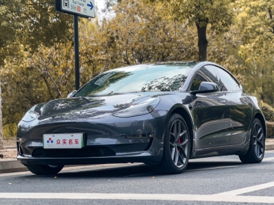 特斯拉 Model 3 Performance高性能全轮驱动版图片