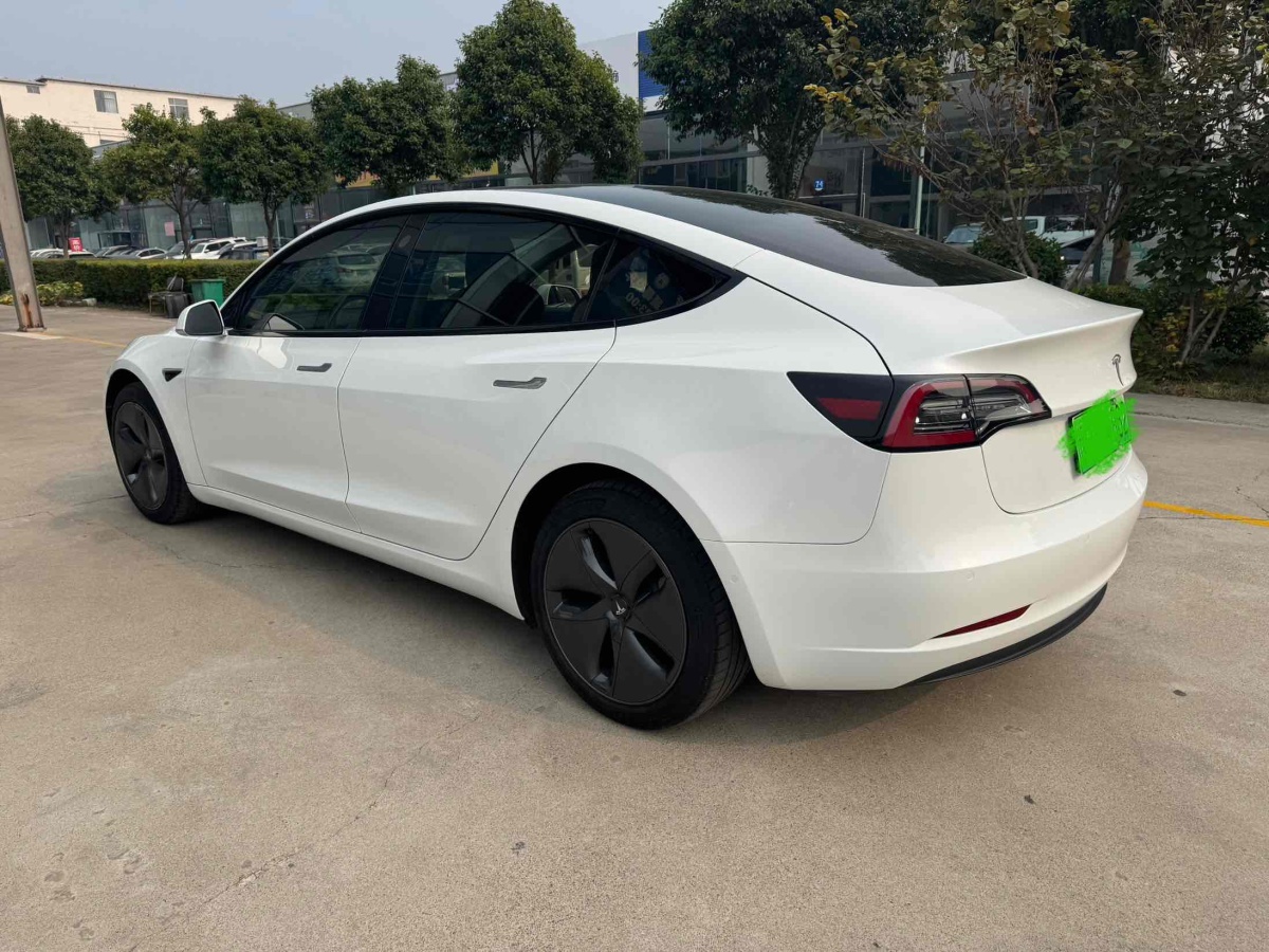 特斯拉 Model 3  2019款 標(biāo)準(zhǔn)續(xù)航后驅(qū)升級(jí)版圖片