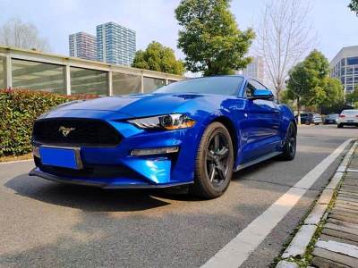 2019年1月 福特 Mustang(進(jìn)口) 2.3L EcoBoost圖片