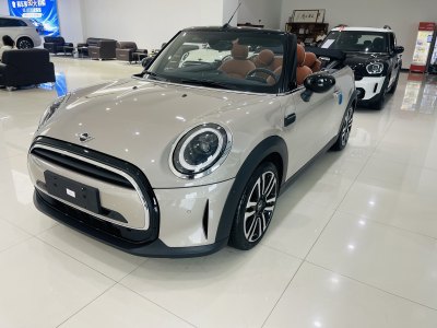 2023年5月 MINI MINI 1.5T COOPER CABRIO 艺术家图片