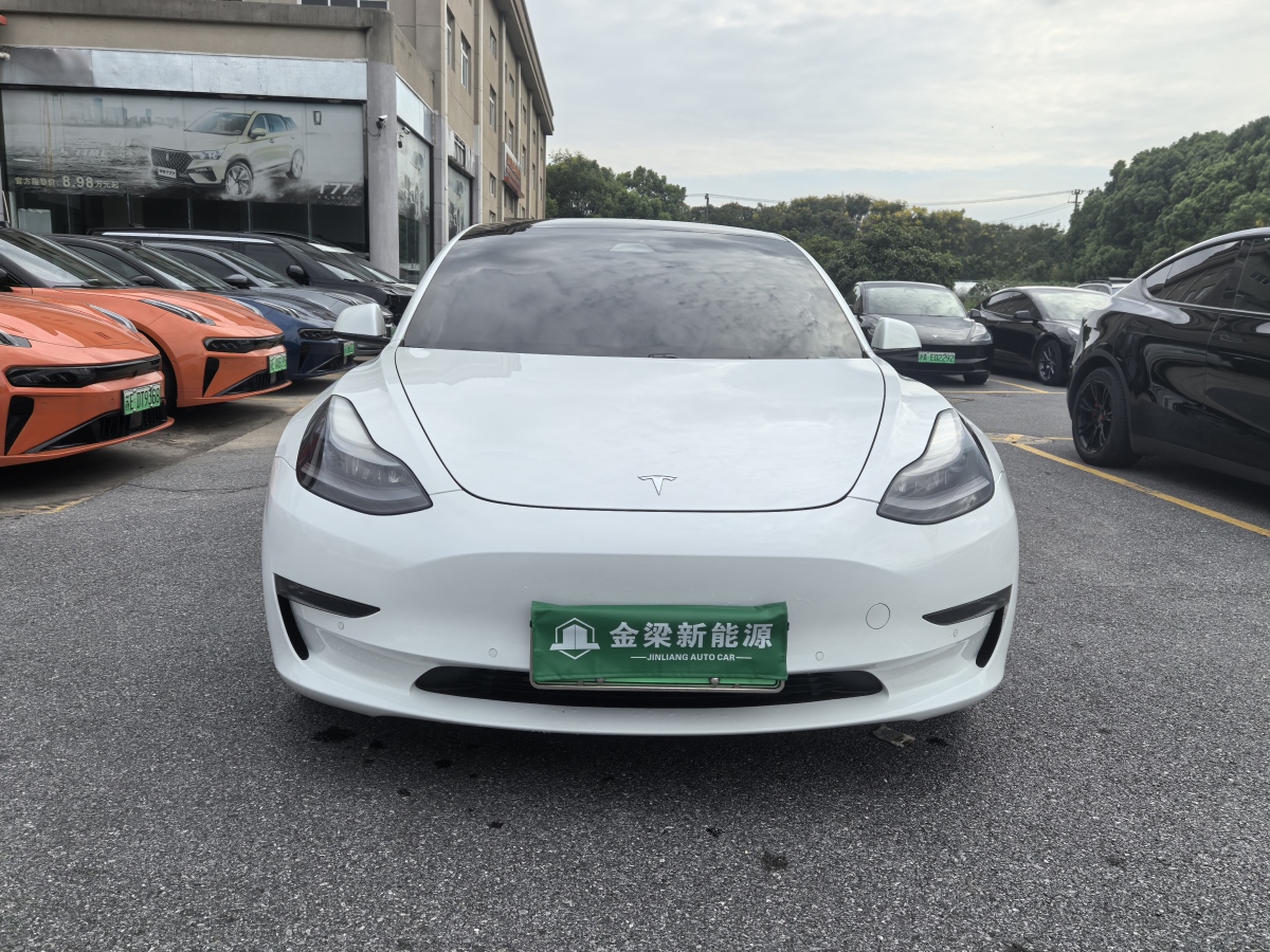 特斯拉 Model Y  2021款 Performance高性能全輪驅(qū)動版圖片