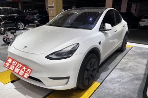 Model Y 特斯拉 改款 长续航后轮驱动版