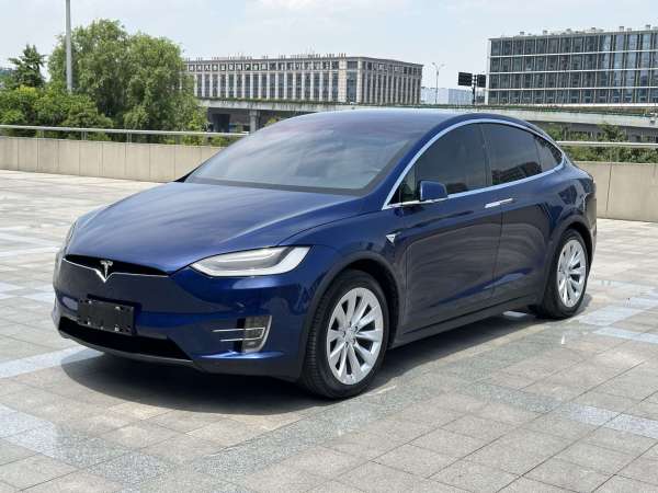 特斯拉 Model X  2017款 Model X 100D 长续航版