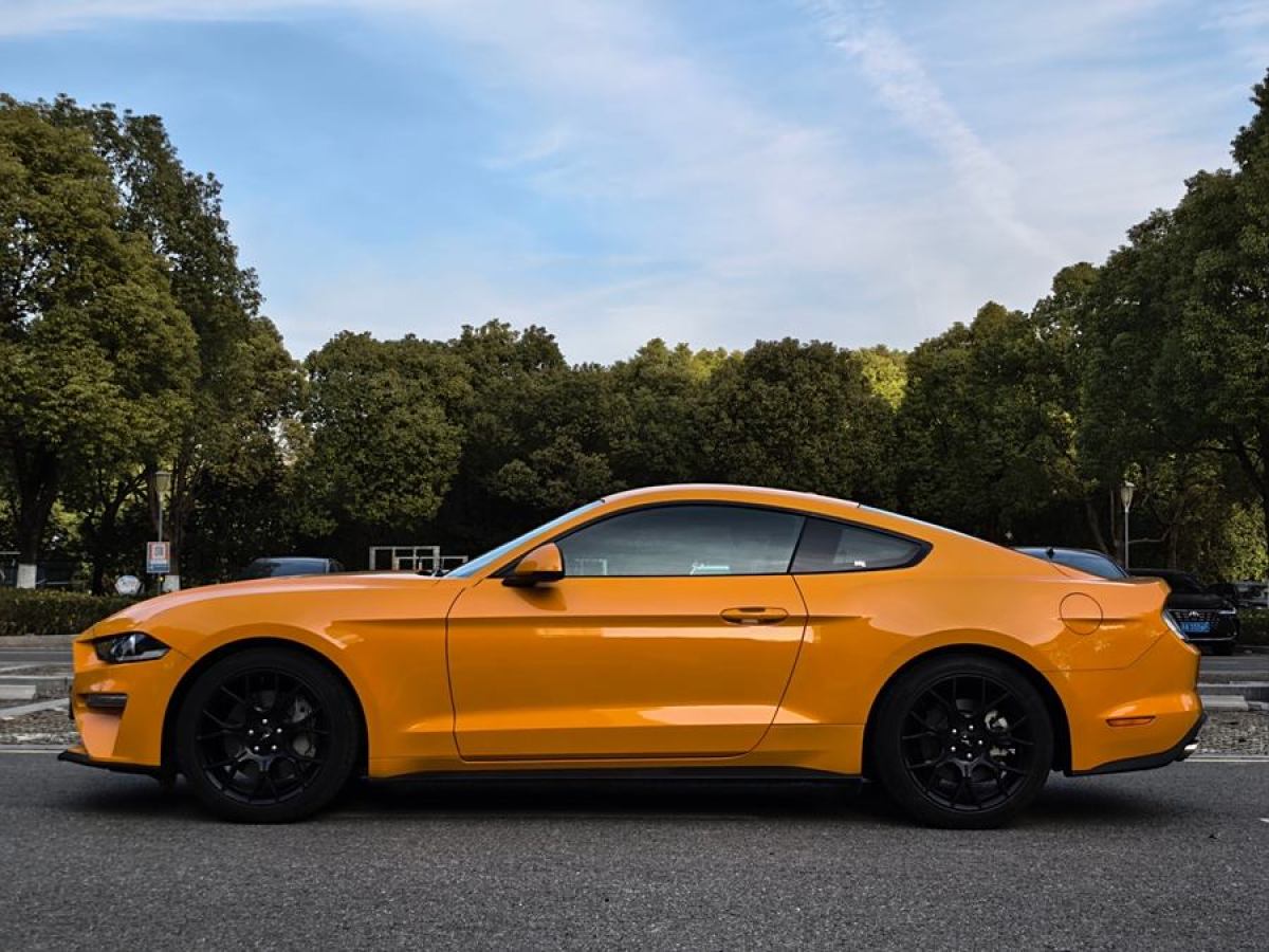 福特 Mustang  2019款 2.3L EcoBoost圖片