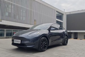Model Y 特斯拉 長(zhǎng)續(xù)航全輪驅(qū)動(dòng)版