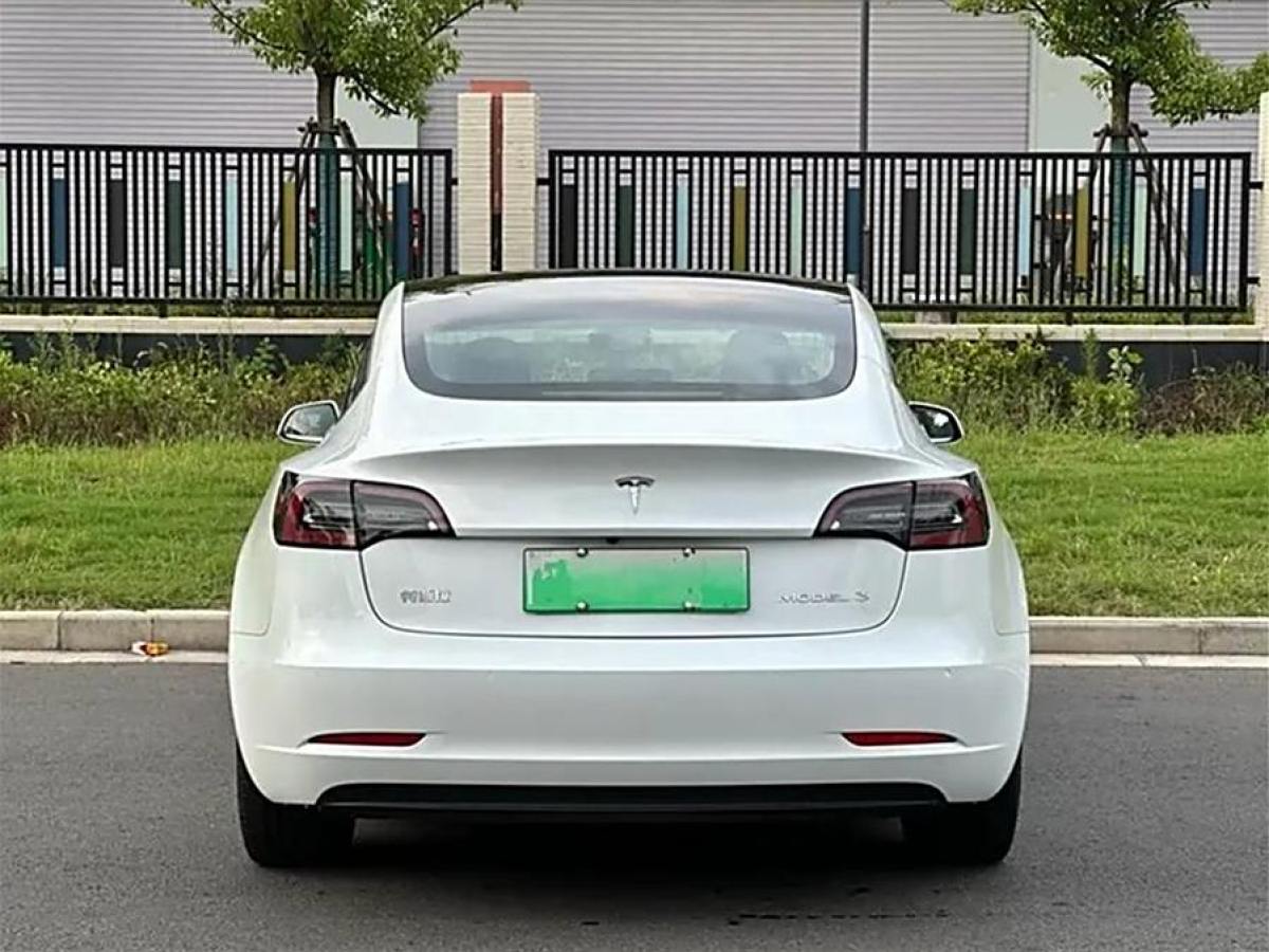 2020年3月特斯拉 Model 3  2019款 標(biāo)準(zhǔn)續(xù)航后驅(qū)升級(jí)版