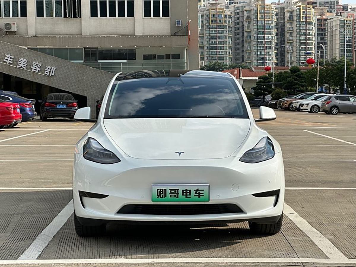 特斯拉 Model Y  2020款 改款 長(zhǎng)續(xù)航后輪驅(qū)動(dòng)版圖片