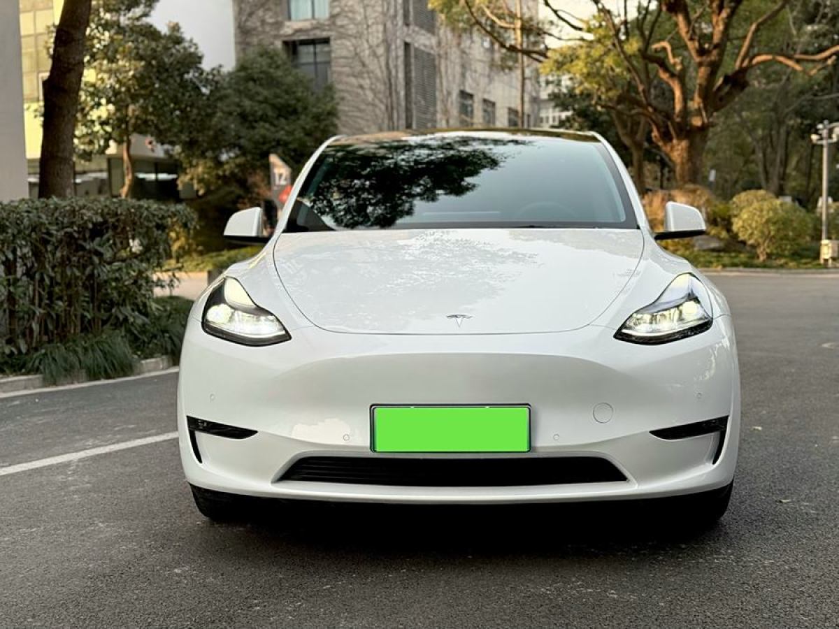 特斯拉 Model 3  2021款 改款 Performance高性能全輪驅(qū)動(dòng)版圖片