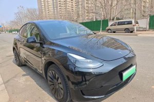 Model Y 特斯拉 后輪驅(qū)動版