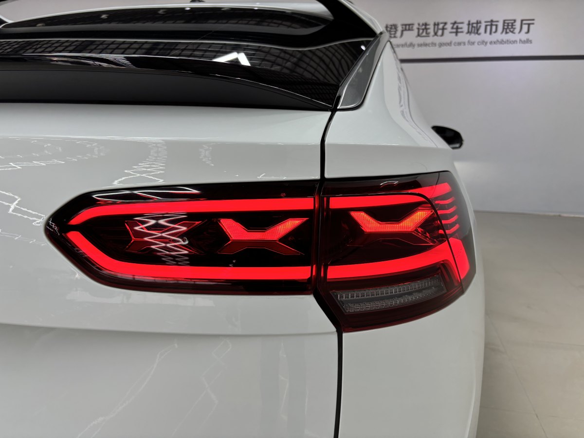 大眾 探岳X  2020款 330TSI 兩驅(qū)尊貴智聯(lián)版圖片