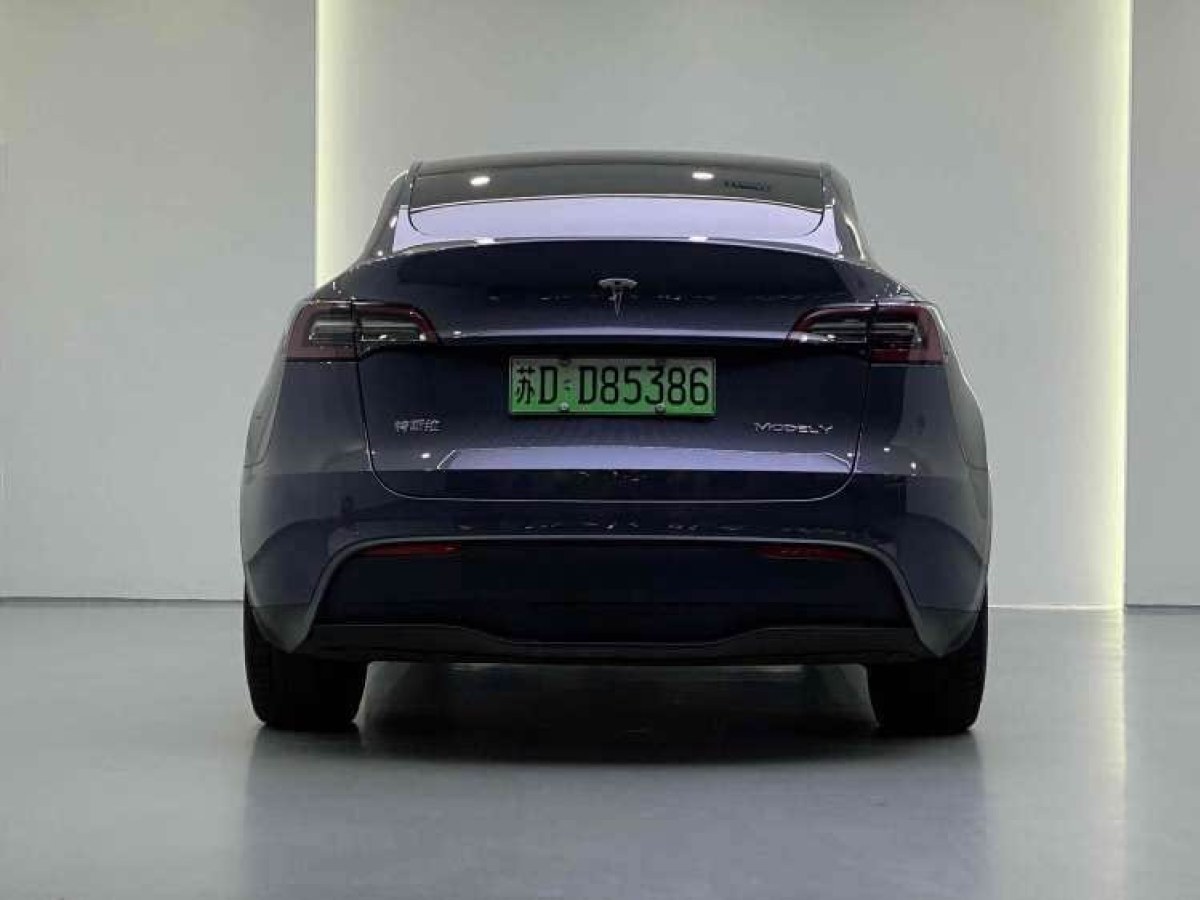 特斯拉 Model Y  2021款 長續(xù)航全輪驅(qū)動版 3D7圖片