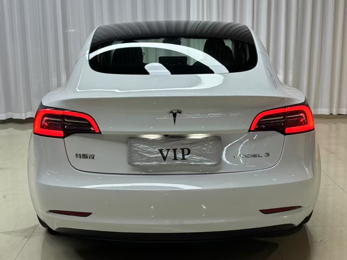 特斯拉 Model 3  2019款 標(biāo)準(zhǔn)續(xù)航后驅(qū)升級(jí)版圖片