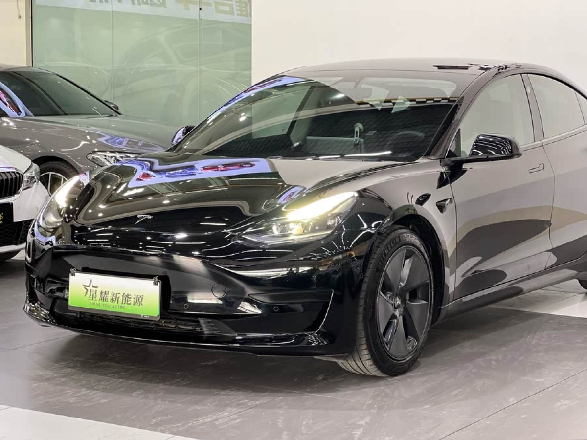 特斯拉 Model 3  2021款 標(biāo)準(zhǔn)續(xù)航后驅(qū)升級(jí)版 3D6圖片