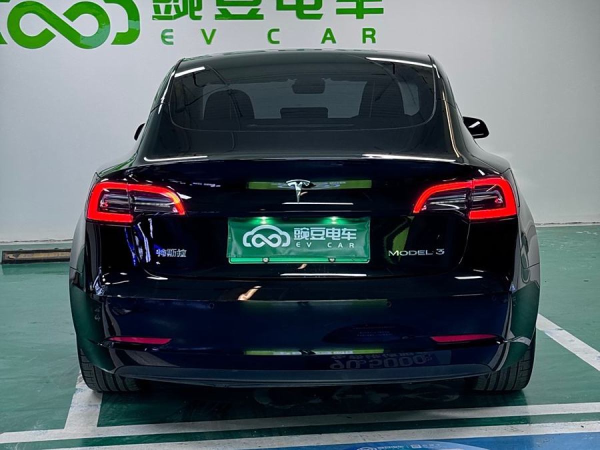 特斯拉 Model 3  2021款 標(biāo)準(zhǔn)續(xù)航后驅(qū)升級(jí)版 3D6圖片