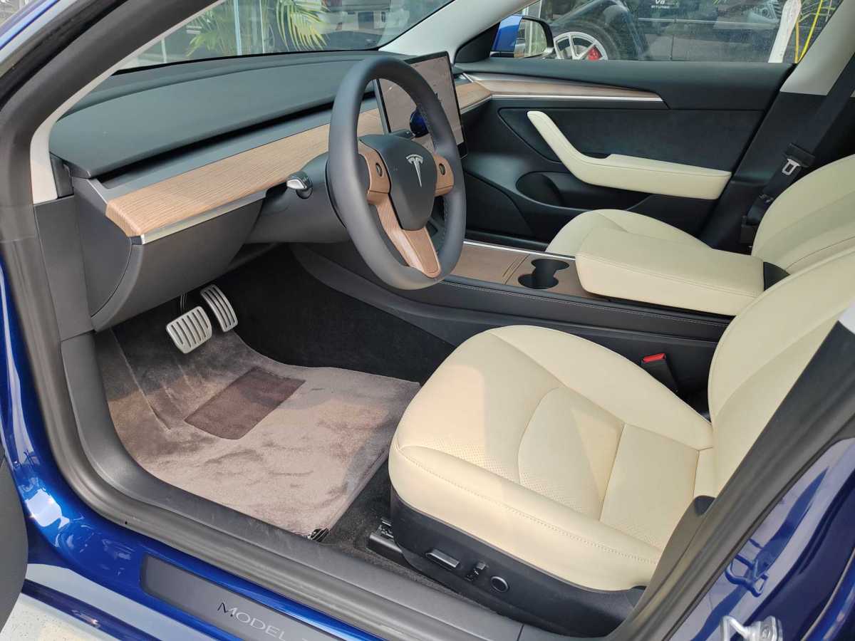 特斯拉 Model 3  2019款 Performance高性能全輪驅(qū)動(dòng)版圖片