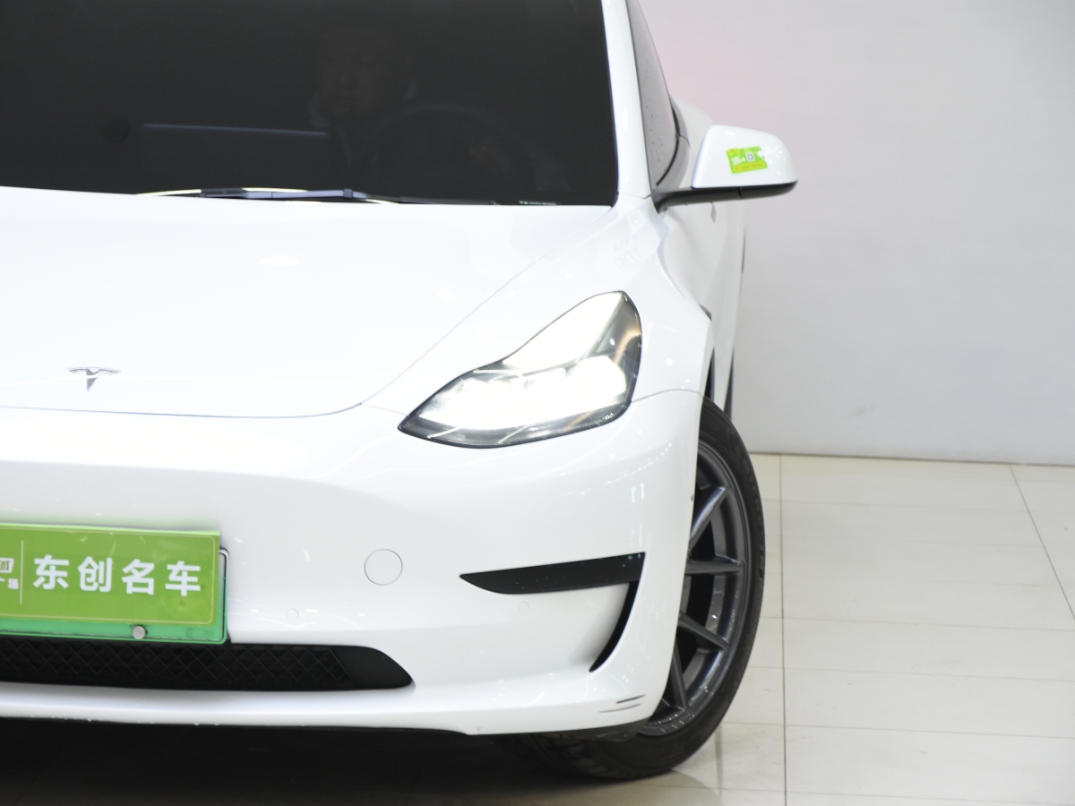 特斯拉 Model 3  2021款 標(biāo)準(zhǔn)續(xù)航后驅(qū)升級(jí)版 3D6圖片