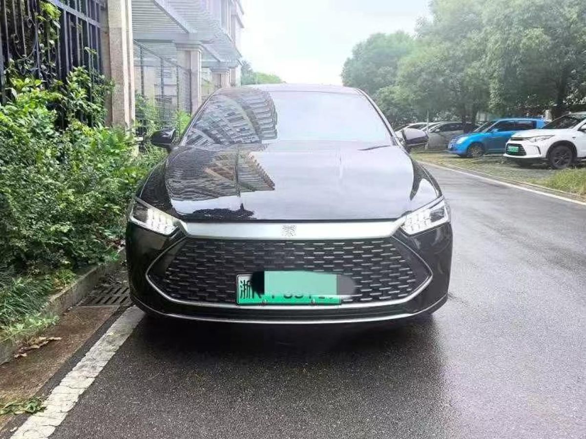 比亞迪 秦  2024款 出行版450圖片