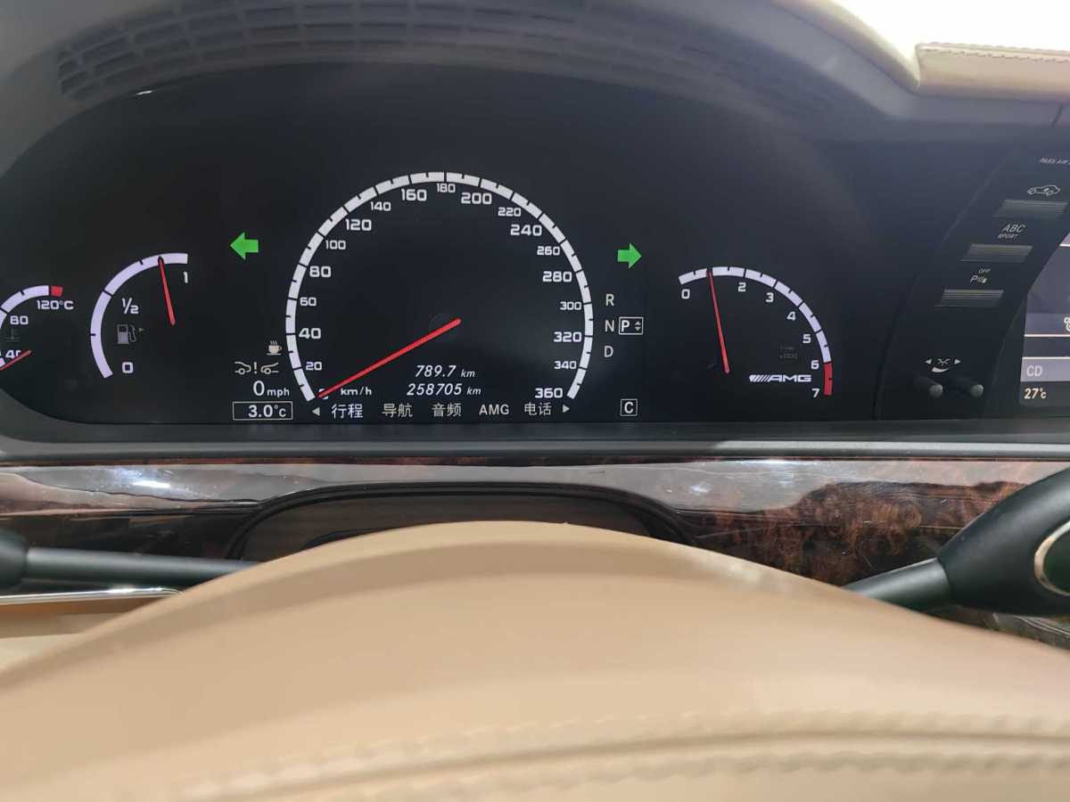 2018年6月奔驰 奔驰S级AMG  2010款 AMG S 65