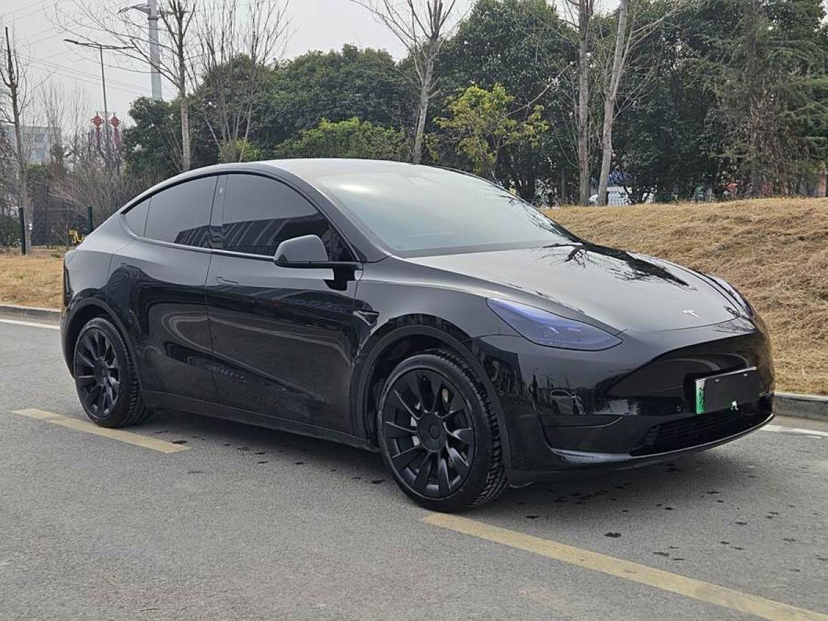 特斯拉 Model 3  2022款 后輪驅(qū)動(dòng)版圖片