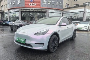 Model Y 特斯拉 后轮驱动版