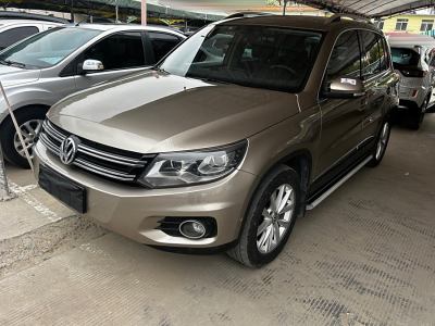 2015年2月 大眾 Tiguan(進(jìn)口) 2.0TSI 專享版圖片