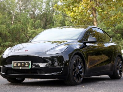 2023年3月 特斯拉 Model Y 高性能全輪驅(qū)動(dòng)版圖片