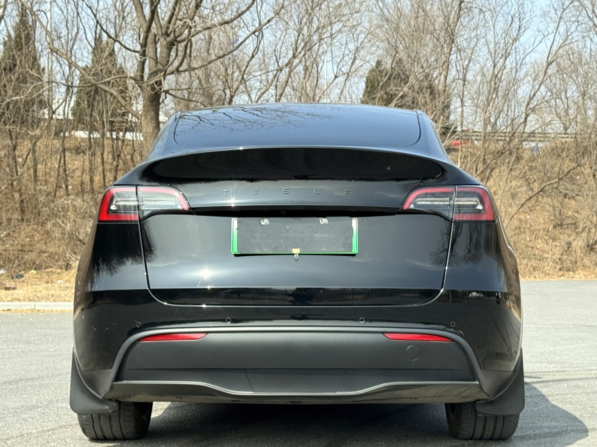 特斯拉 Model Y  2022款 改款 長(zhǎng)續(xù)航全輪驅(qū)動(dòng)版圖片