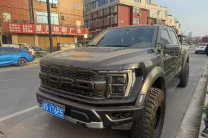 F-150 福特 3.5T 猛禽傲雪冰暉特別版