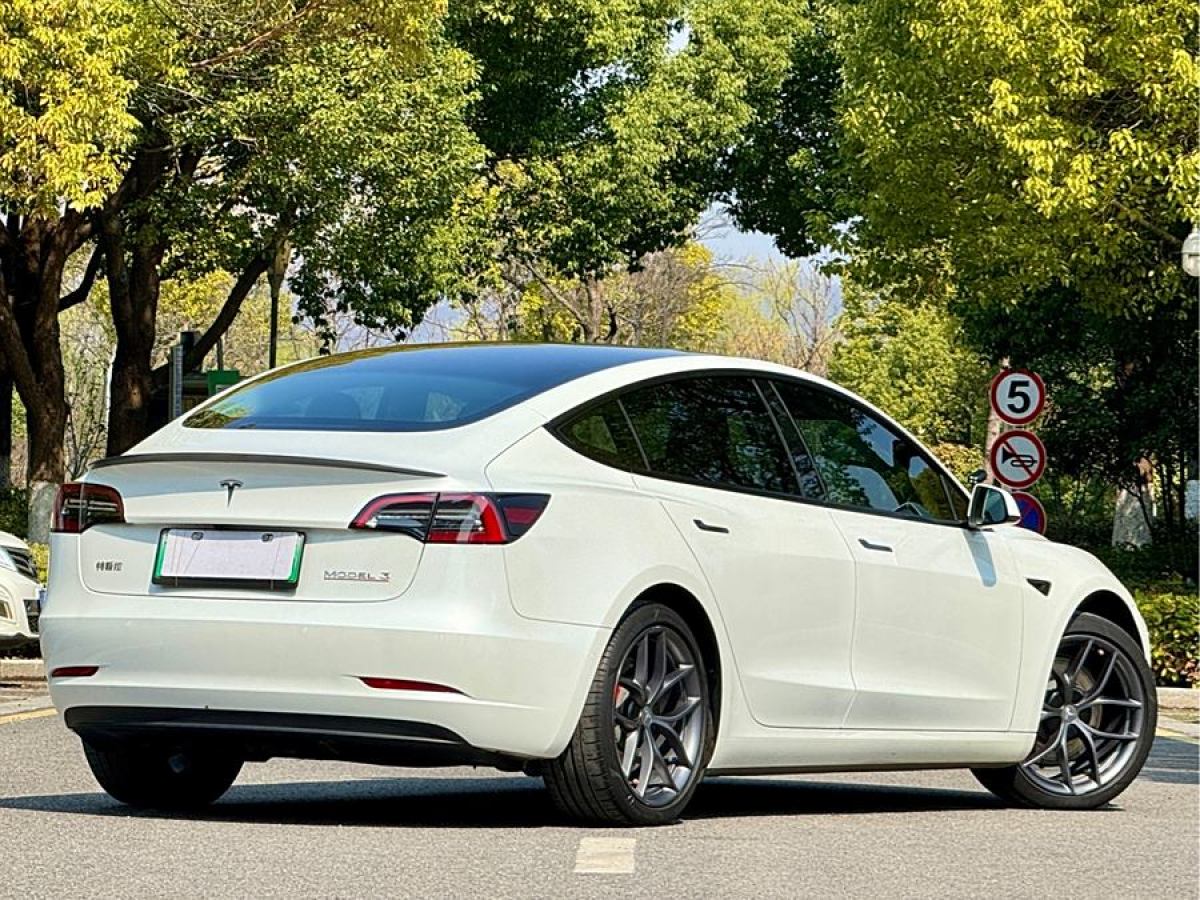 特斯拉 Model Y  2021款 Performance高性能全輪驅(qū)動版圖片