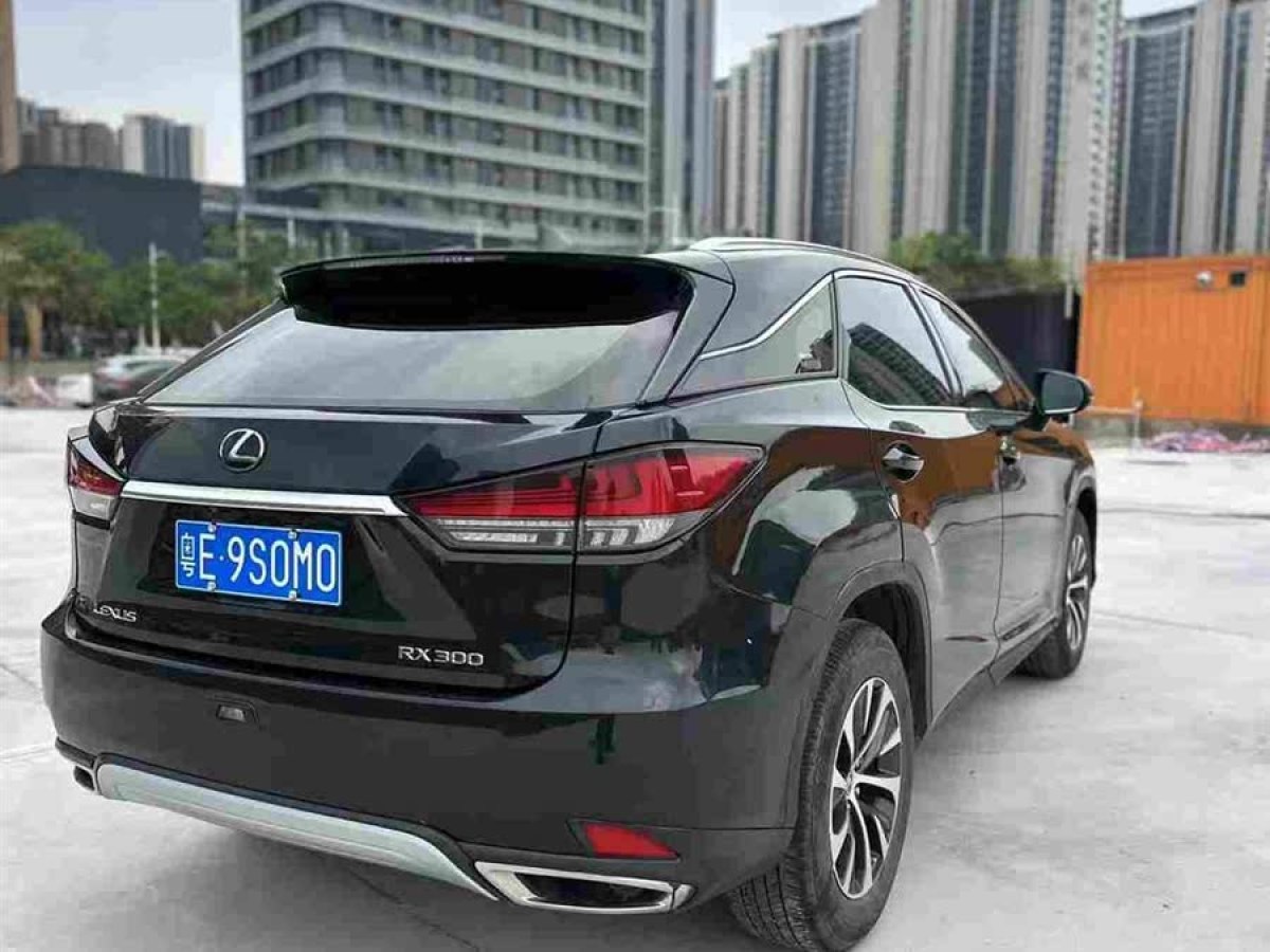 雷克薩斯 RX  2020款 300 兩驅(qū)精英版 國(guó)VI圖片