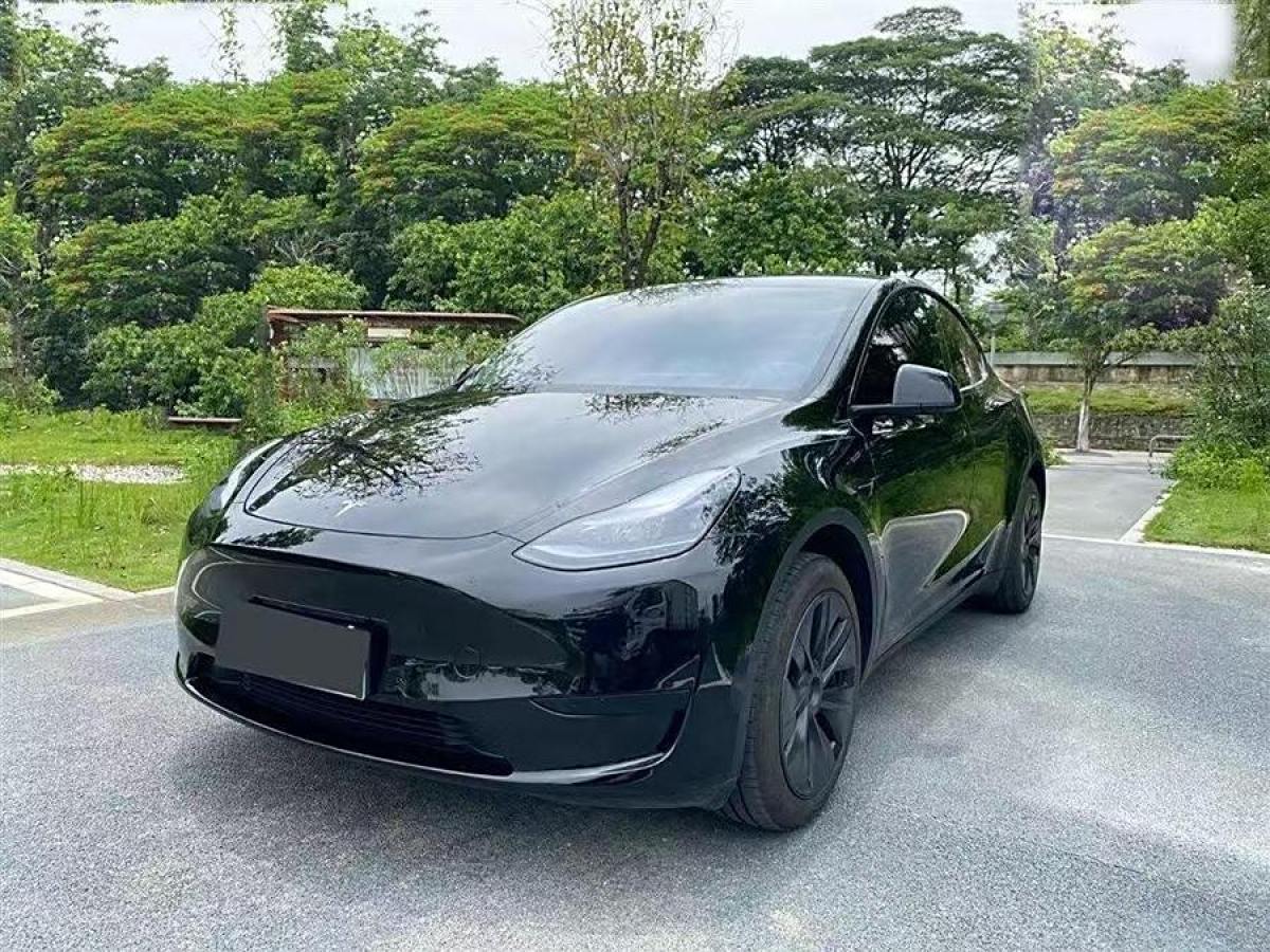 2025年2月特斯拉 Model 3  2020款 改款 長續(xù)航后輪驅(qū)動版