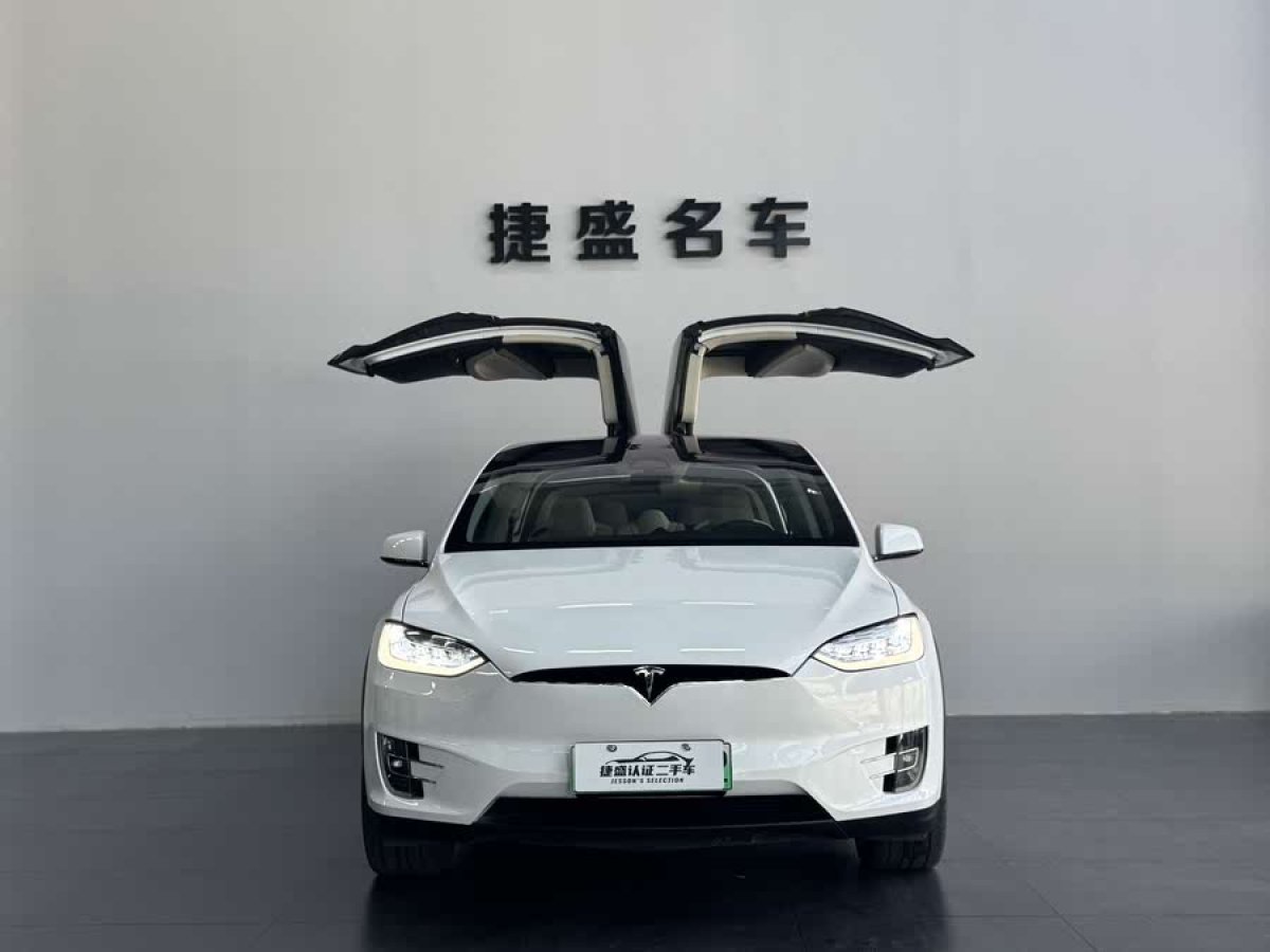 特斯拉 Model X  2017款 Model X 100D 長續(xù)航版圖片
