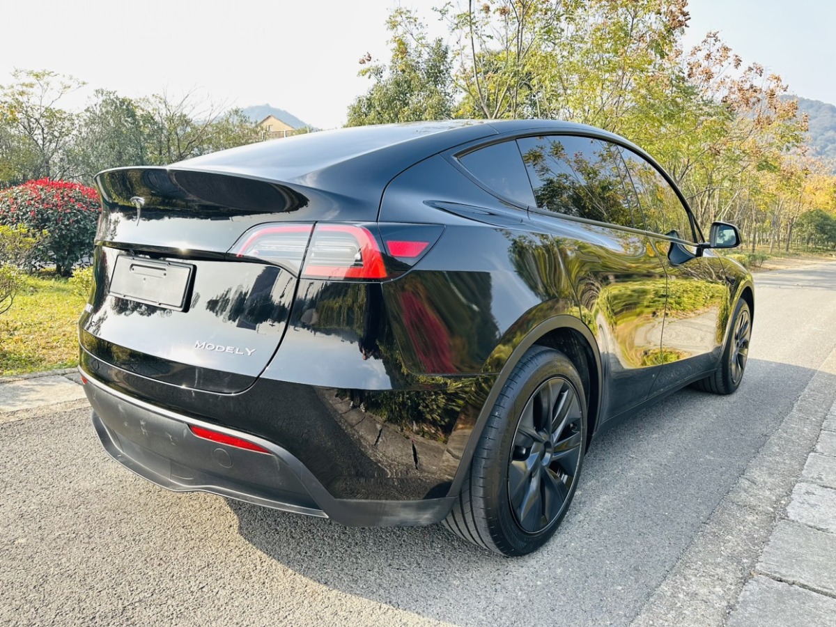 特斯拉 Model Y  2024款 后輪驅(qū)動版圖片